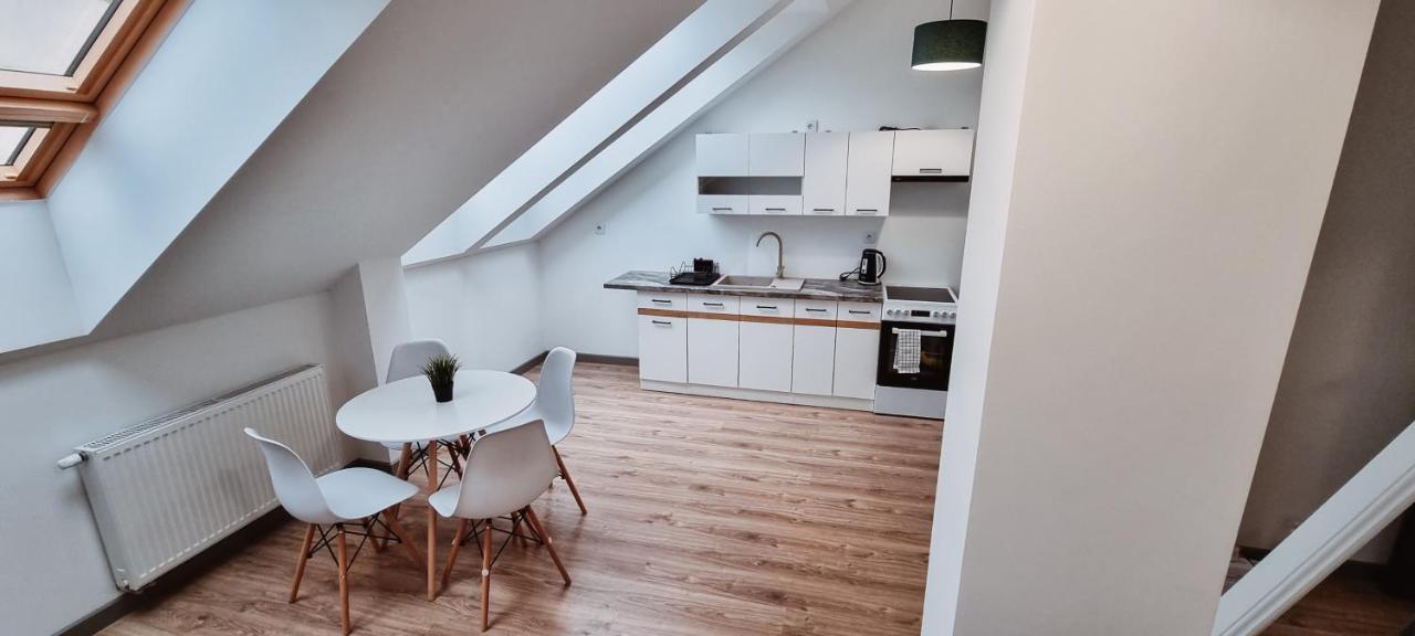 Spacious Loft 10 Kraków