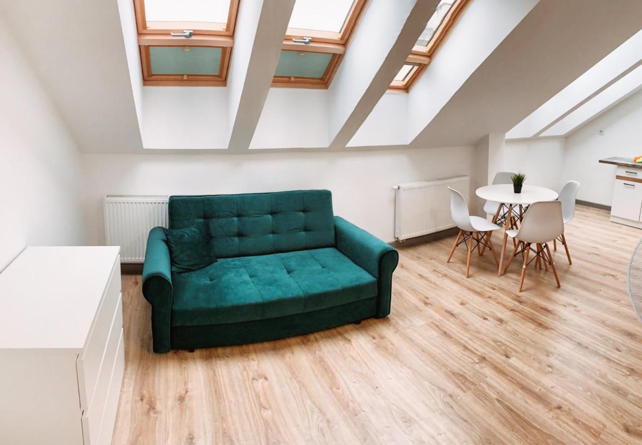 Spacious Loft 10 Apartament *