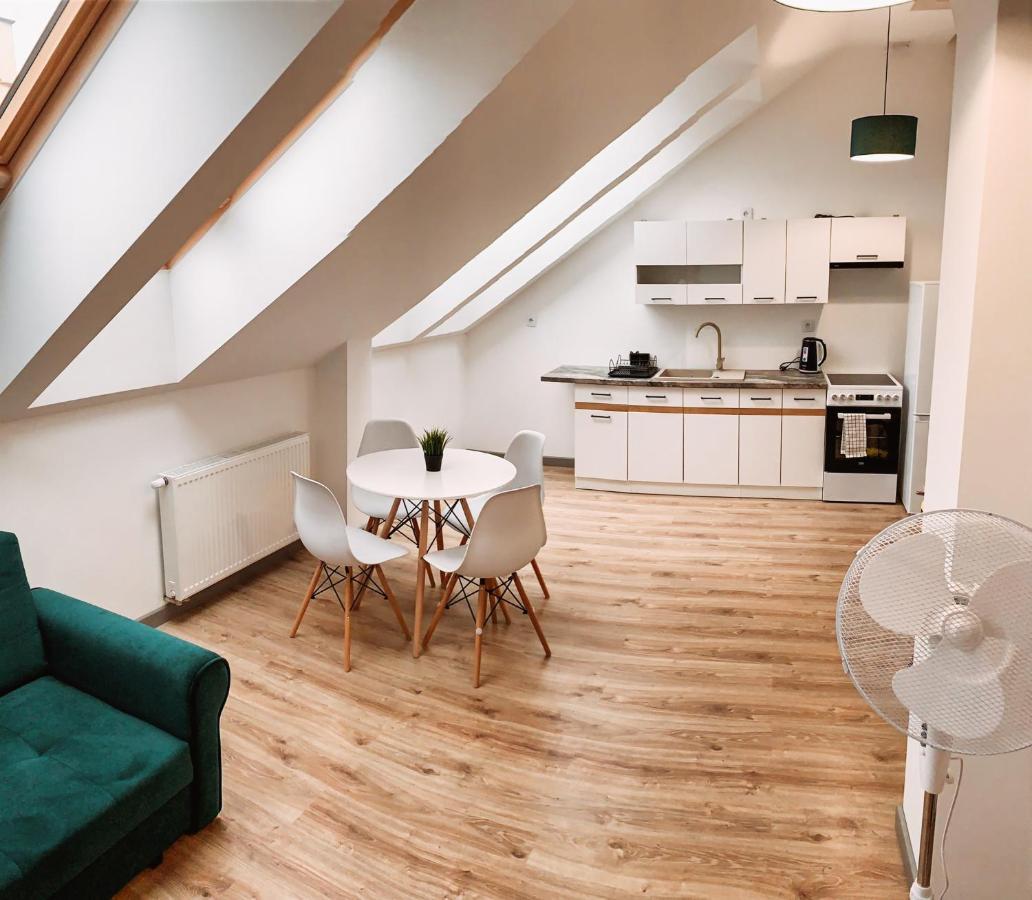 Apartament Spacious Loft 10 *