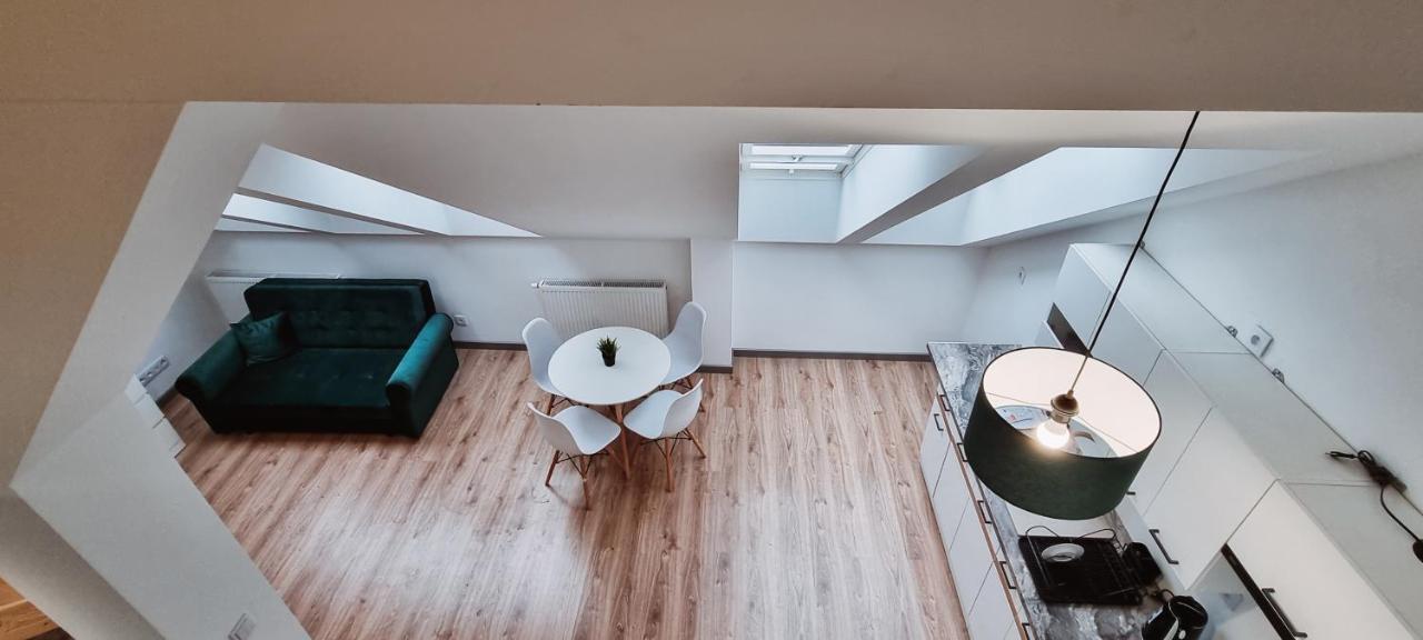 Spacious Loft 10 Apartament